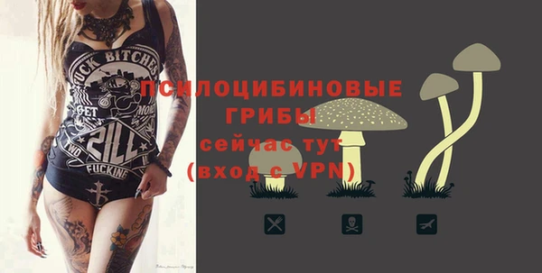 сатива Саяногорск