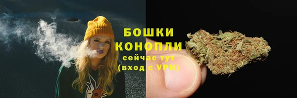мдпв Сатка