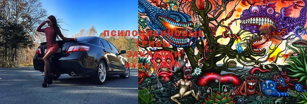хмурый Сафоново