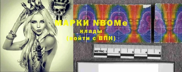тгк Алзамай
