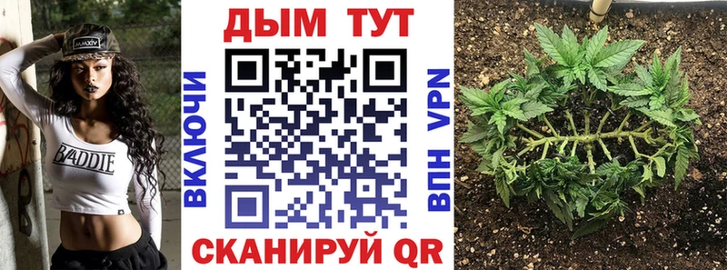 купить   Емва  Бошки Шишки гибрид 